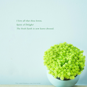 女人到达巅峰高清在线
