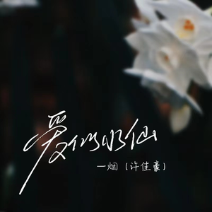 女人到达巅峰高清在线
