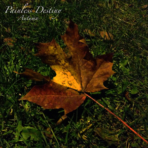 女人到达巅峰高清在线
